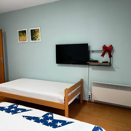 Iwa Centar & Wellness アパート Vrnjačka Banja