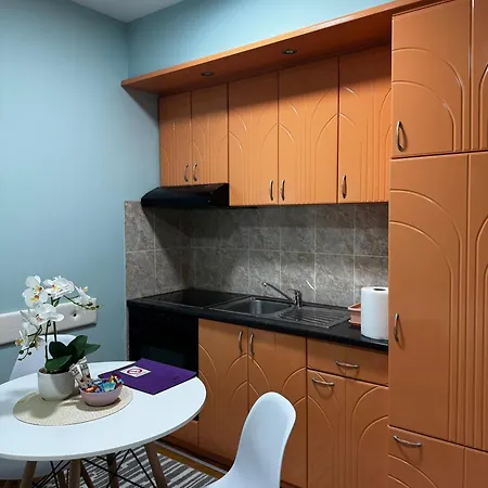 Iwa Centar & Wellness アパート Vrnjačka Banja