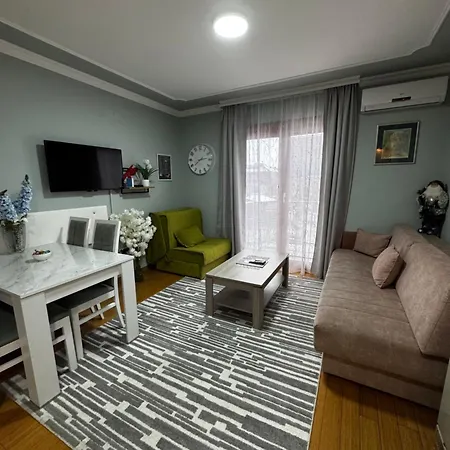 Iwa Centar & Wellness アパート Vrnjačka Banja