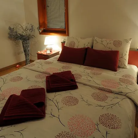 Iwa Centar & Wellness דירה *