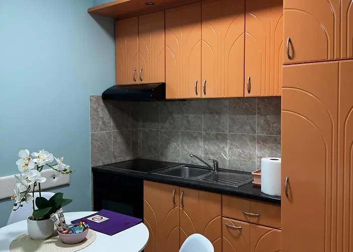 Iwa Centar & Wellness Apartmán Vrnjačka Banja