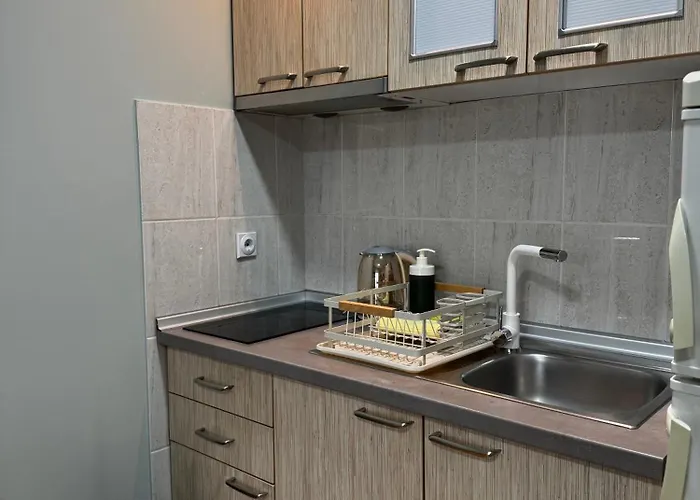 Apartmán Iwa Centar & Wellness Vrnjačka Banja